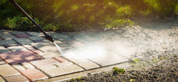 Best Dumpster Area Cleaning  in Darien Downtown, CT